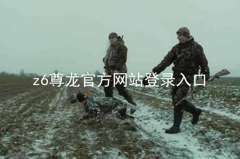 z6尊龙官方网站登录入口